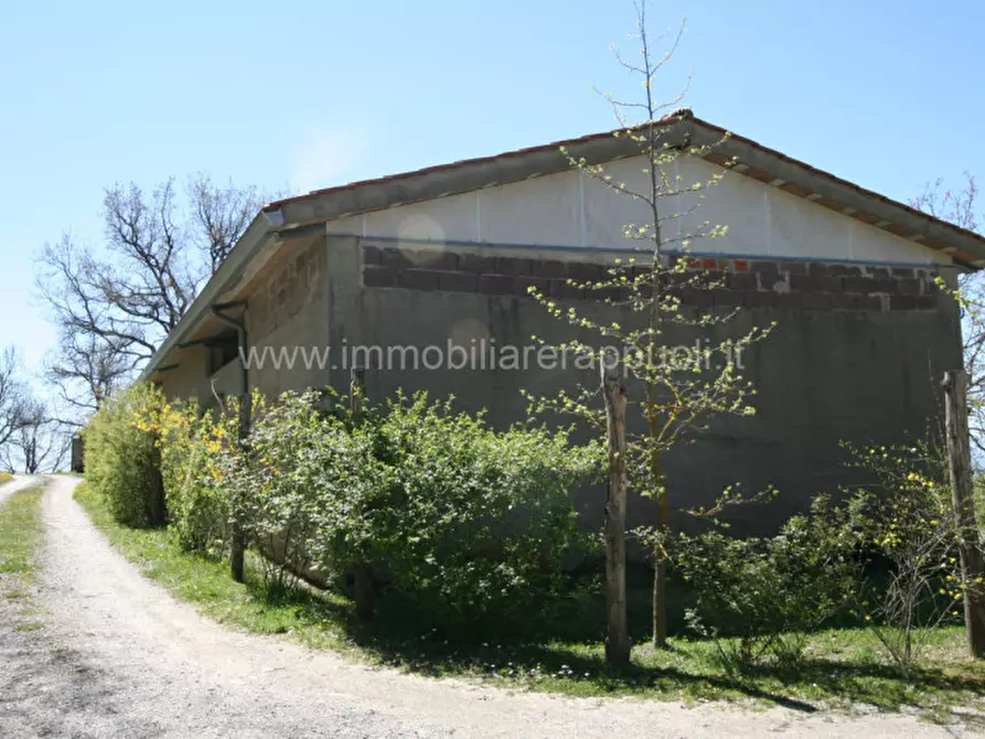 Immagine 47 di Rustico / casale in vendita  a Cortona