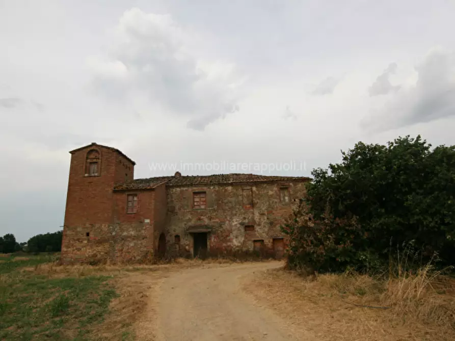 Immagine 1 di Rustico / casale in vendita  a Sinalunga