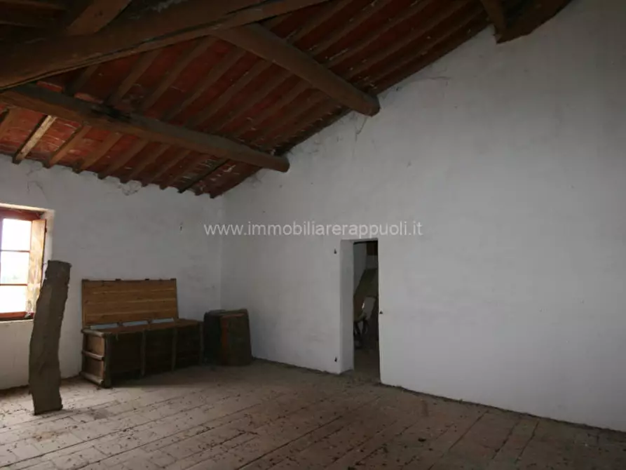 Immagine 12 di Rustico / casale in vendita  a Sinalunga