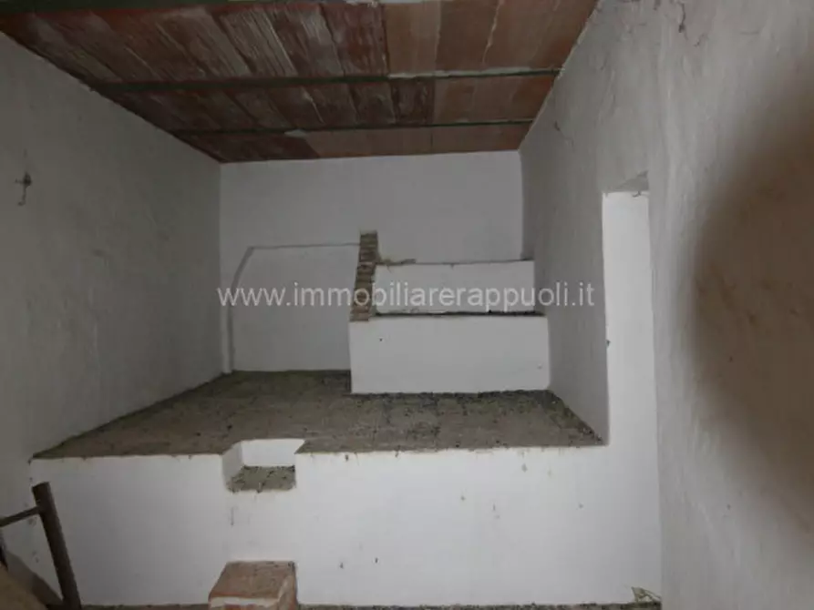 Immagine 13 di Rustico / casale in vendita  a Sinalunga