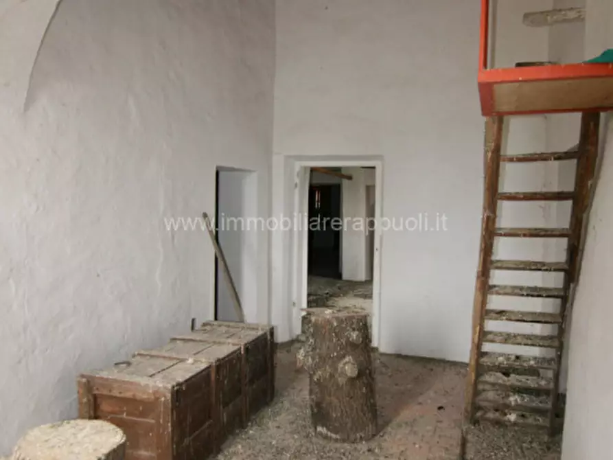 Immagine 15 di Rustico / casale in vendita  a Sinalunga