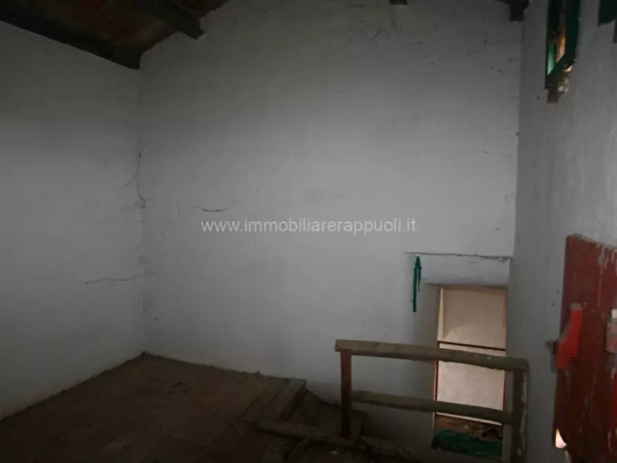 Immagine 19 di Rustico / casale in vendita  a Sinalunga