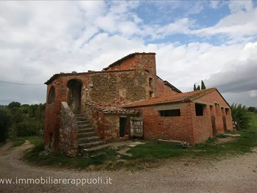 Immagine 2 di Rustico / casale in vendita  a Sinalunga