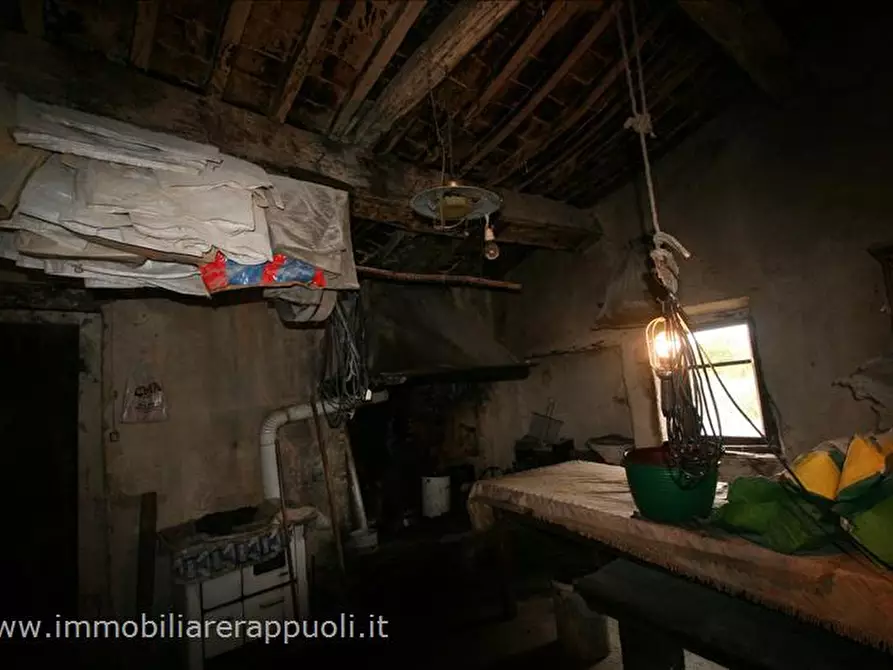 Immagine 4 di Rustico / casale in vendita  a Sinalunga