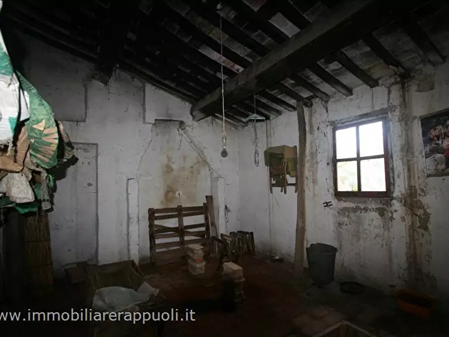 Immagine 7 di Rustico / casale in vendita  a Sinalunga