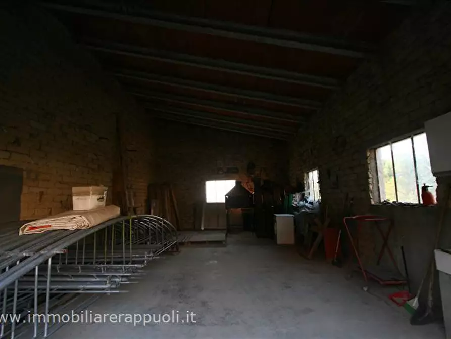 Immagine 2 di Casa indipendente in vendita  a Sinalunga