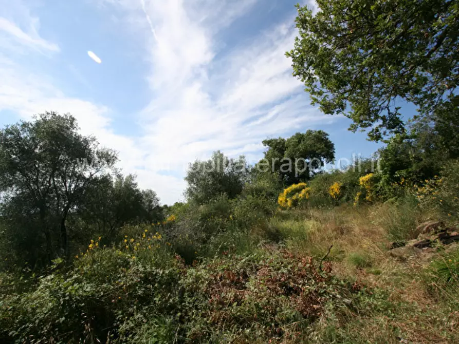 Immagine 8 di Rustico / casale in vendita  a Sinalunga