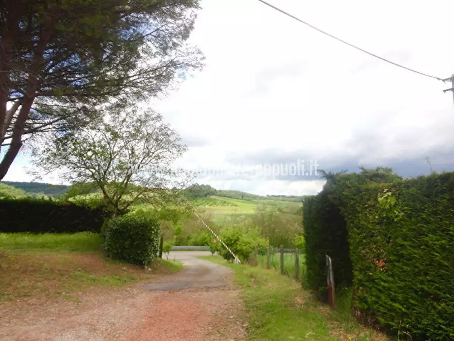 Immagine 4 di Rustico / casale in vendita  a Rapolano Terme