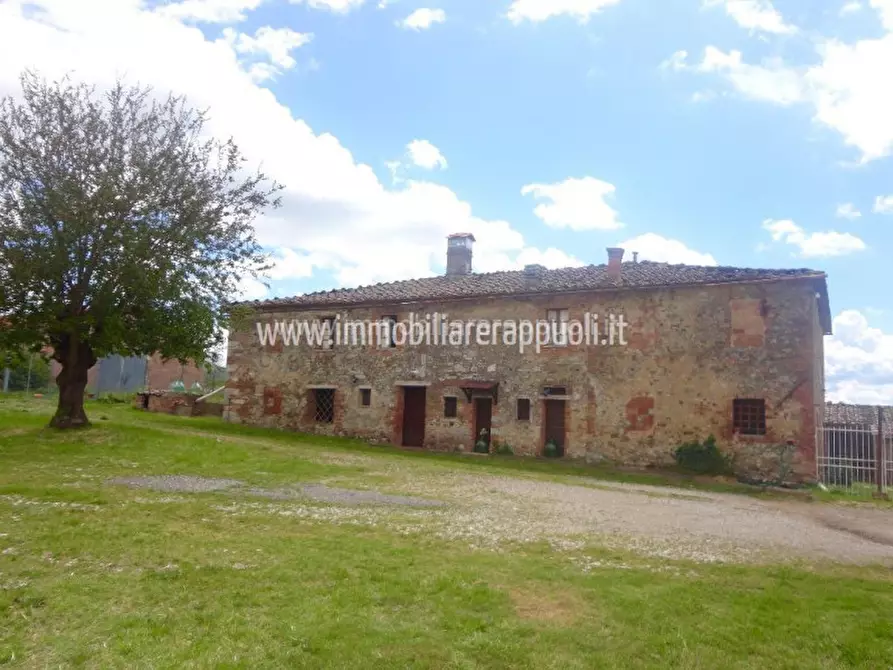 Immagine 5 di Rustico / casale in vendita  a Rapolano Terme