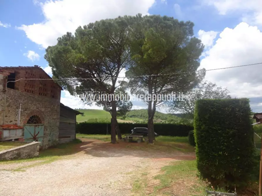 Immagine 6 di Rustico / casale in vendita  a Rapolano Terme