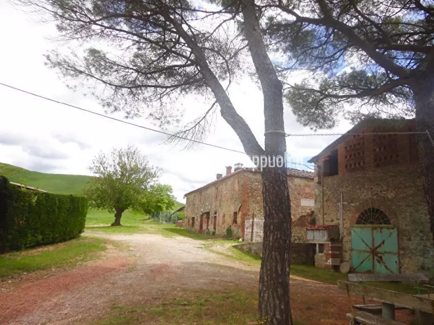 Immagine 7 di Rustico / casale in vendita  a Rapolano Terme