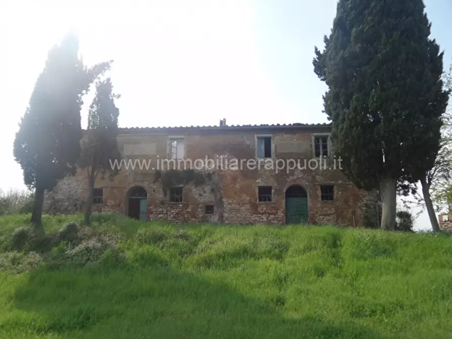 Immagine 2 di Rustico / casale in vendita  a Rapolano Terme