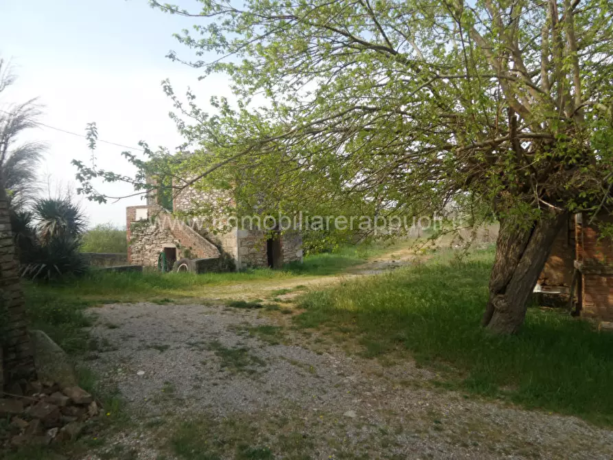Immagine 3 di Rustico / casale in vendita  a Rapolano Terme