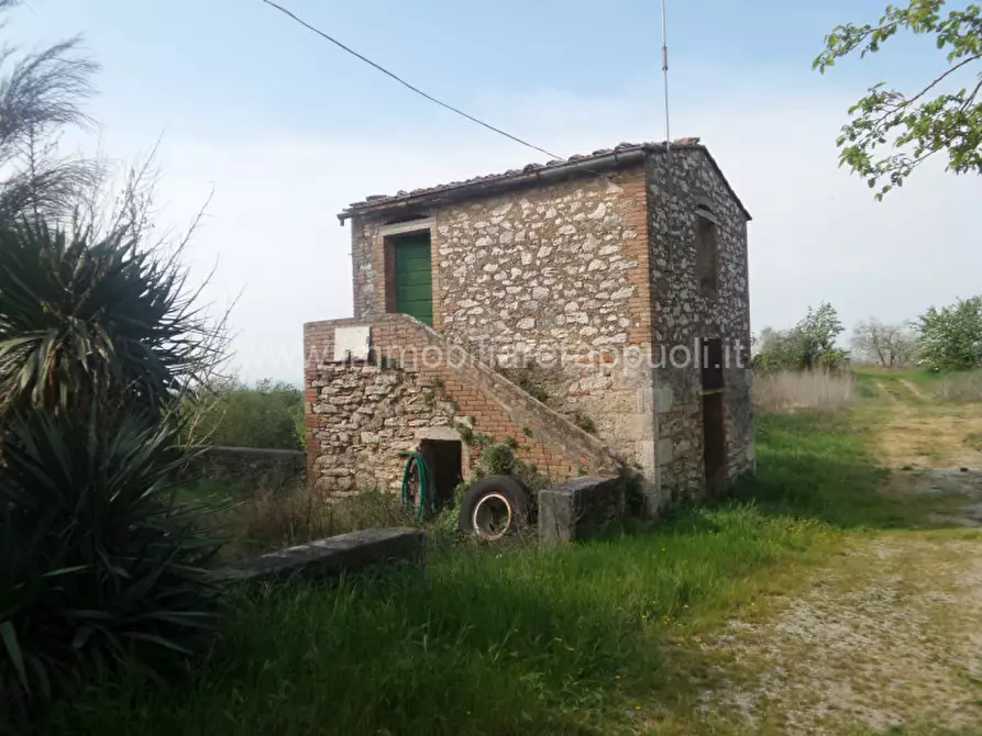 Immagine 4 di Rustico / casale in vendita  a Rapolano Terme