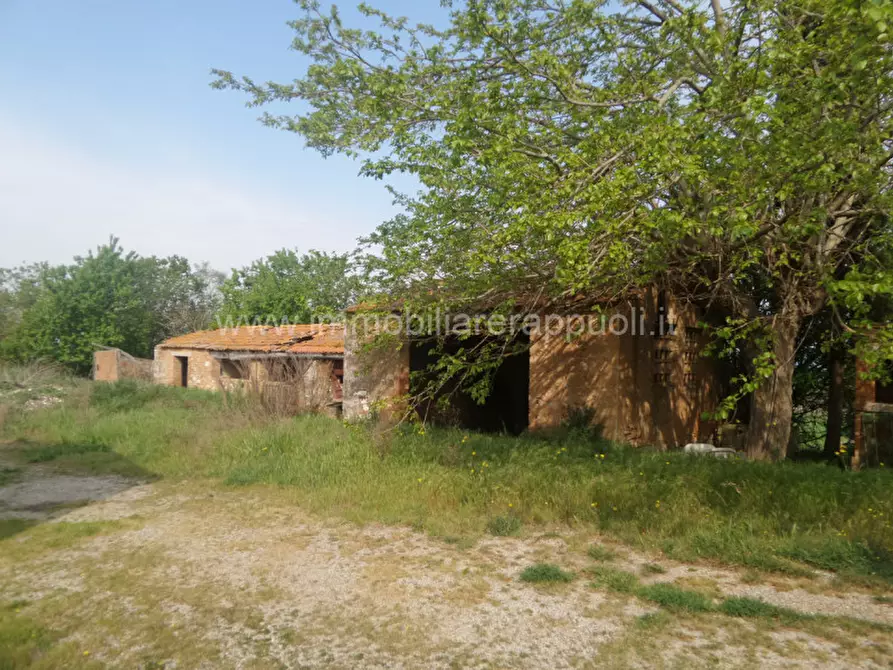 Immagine 5 di Rustico / casale in vendita  a Rapolano Terme