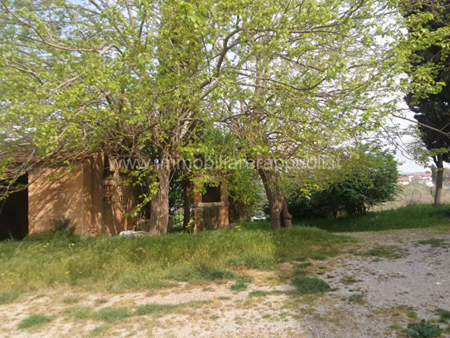 Immagine 6 di Rustico / casale in vendita  a Rapolano Terme