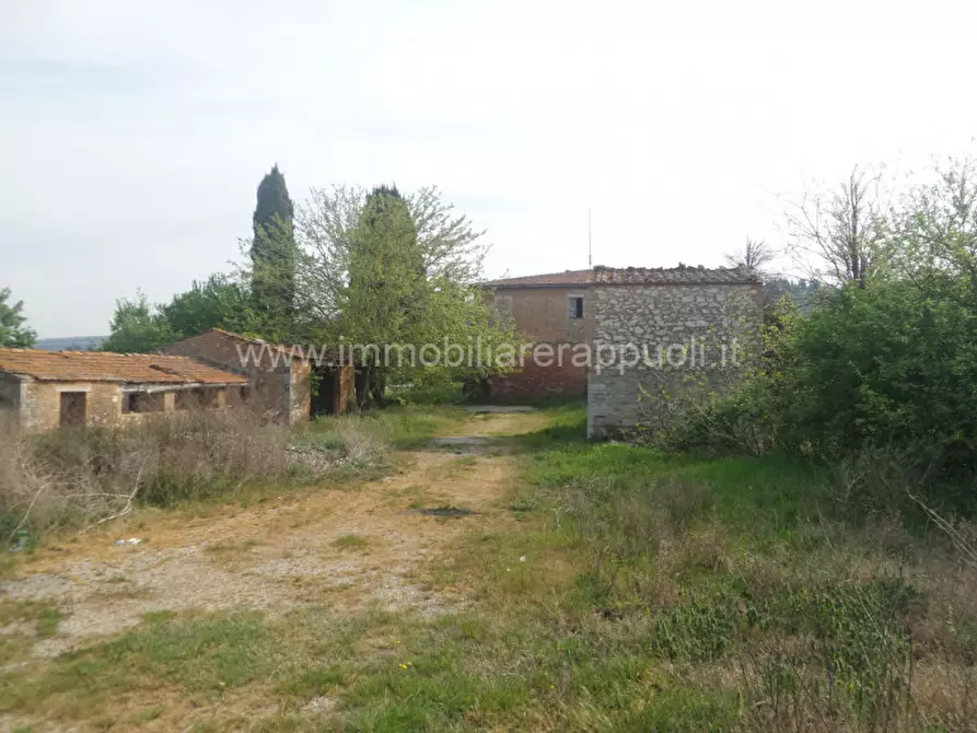 Immagine 8 di Rustico / casale in vendita  a Rapolano Terme