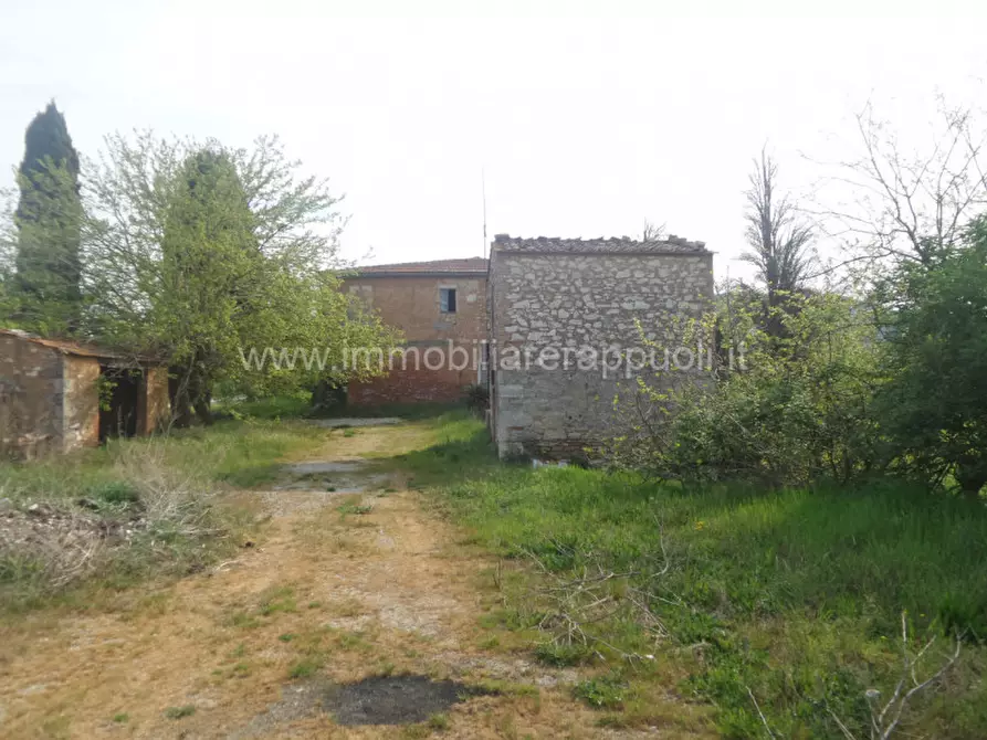 Immagine 10 di Rustico / casale in vendita  a Rapolano Terme
