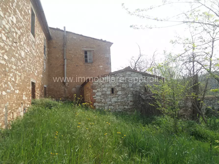 Immagine 12 di Rustico / casale in vendita  a Rapolano Terme
