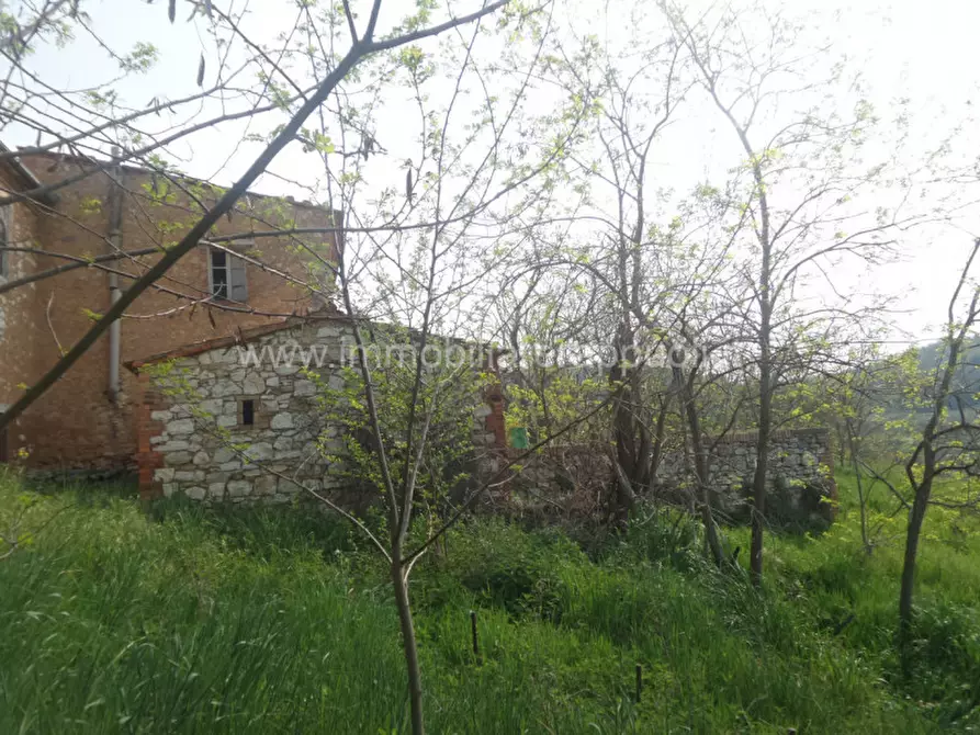 Immagine 13 di Rustico / casale in vendita  a Rapolano Terme