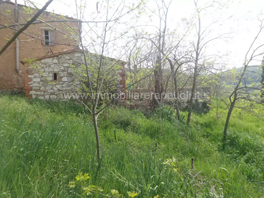 Immagine 14 di Rustico / casale in vendita  a Rapolano Terme