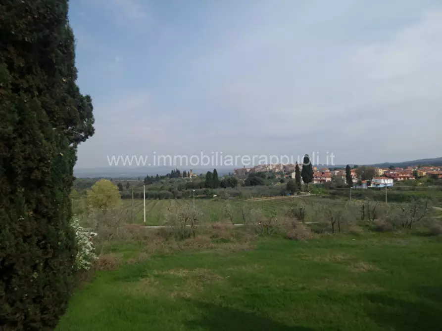 Immagine 18 di Rustico / casale in vendita  a Rapolano Terme