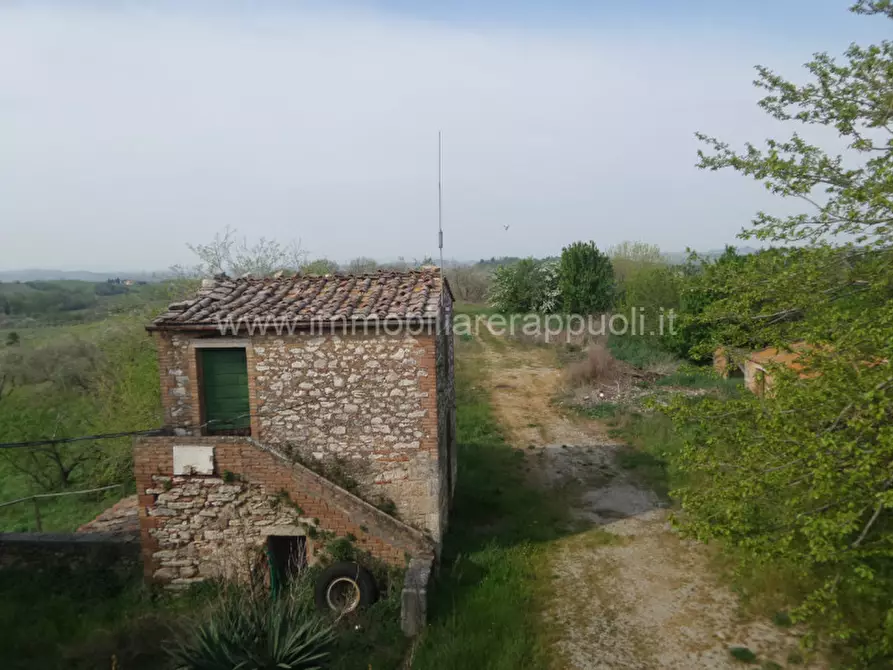 Immagine 20 di Rustico / casale in vendita  a Rapolano Terme