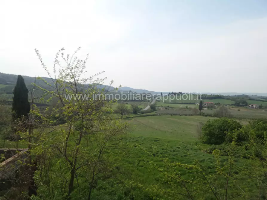 Immagine 22 di Rustico / casale in vendita  a Rapolano Terme