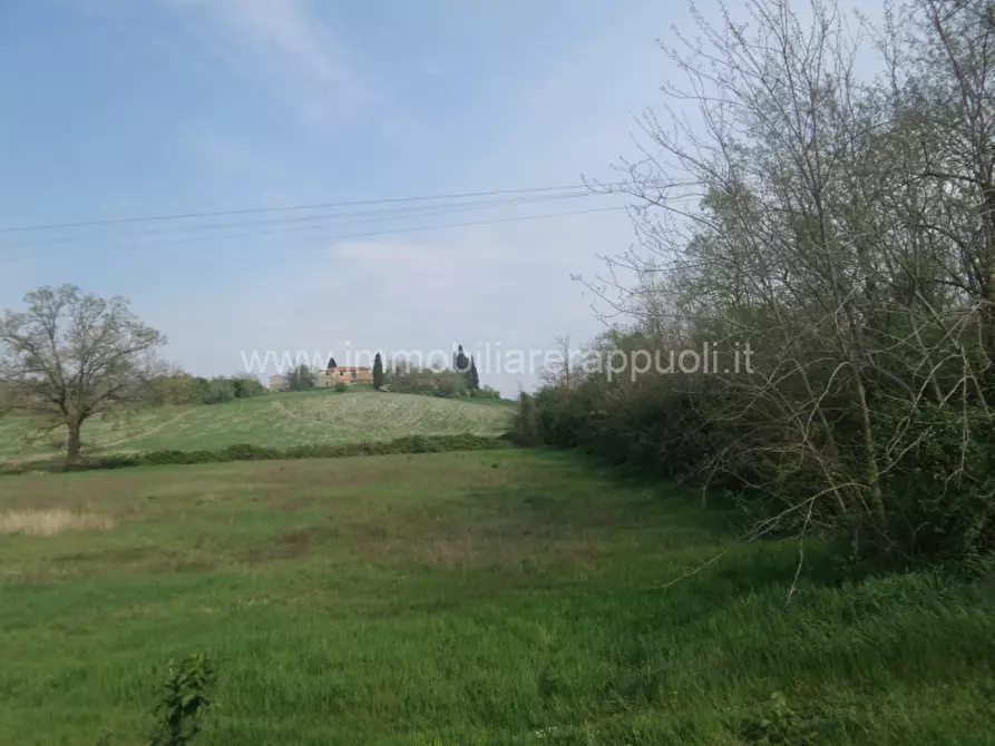 Immagine 23 di Rustico / casale in vendita  a Rapolano Terme