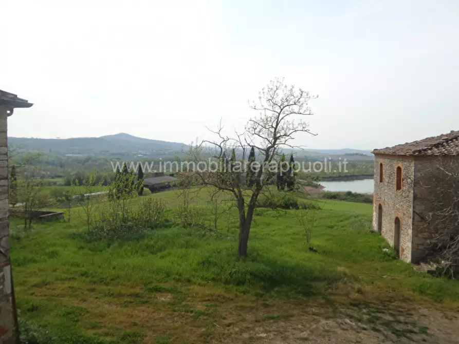 Immagine 26 di Rustico / casale in vendita  a Rapolano Terme