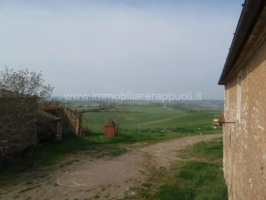 Immagine 27 di Rustico / casale in vendita  a Rapolano Terme