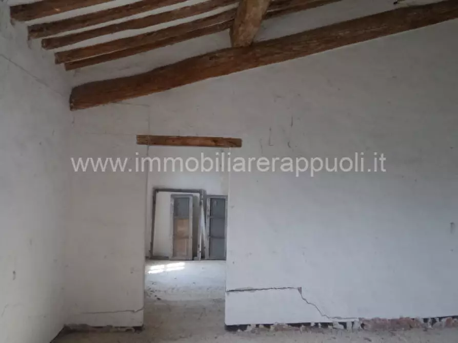 Immagine 31 di Rustico / casale in vendita  a Rapolano Terme
