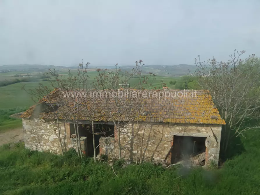 Immagine 37 di Rustico / casale in vendita  a Rapolano Terme