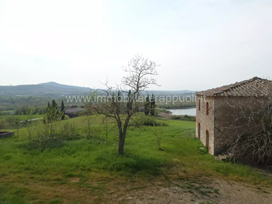 Immagine 38 di Rustico / casale in vendita  a Rapolano Terme