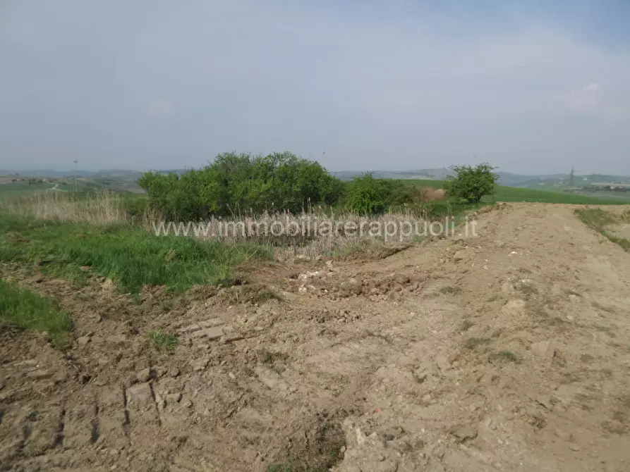 Immagine 42 di Rustico / casale in vendita  a Rapolano Terme