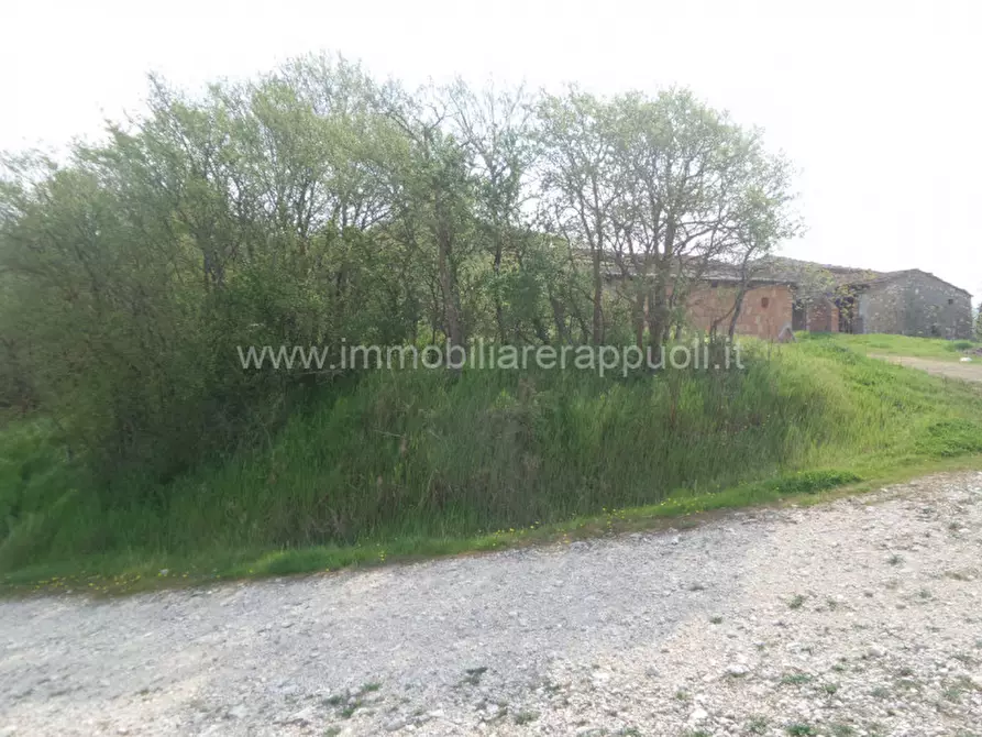 Immagine 44 di Rustico / casale in vendita  a Rapolano Terme