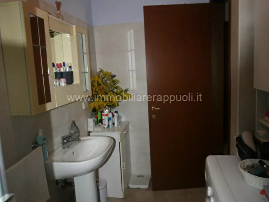 Immagine 5 di Appartamento in vendita  a Lucignano