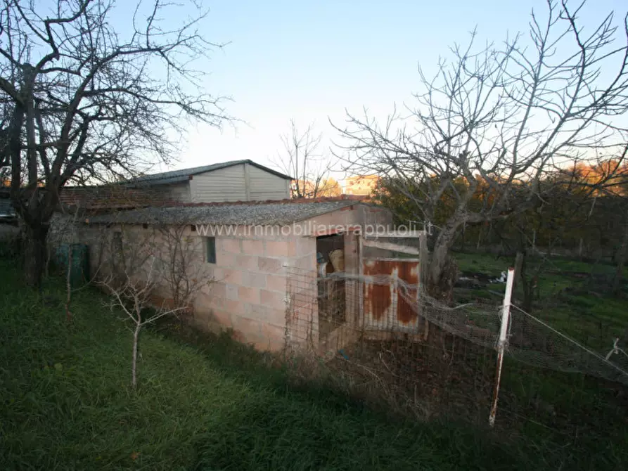 Immagine 4 di Rustico / casale in vendita  a Sinalunga
