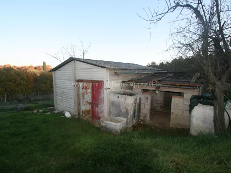Immagine 5 di Rustico / casale in vendita  a Sinalunga