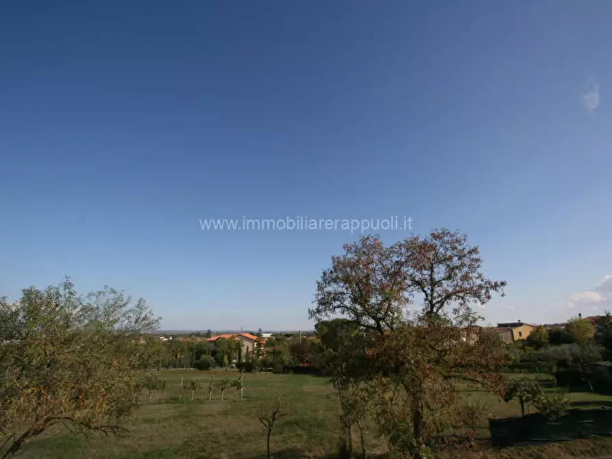 Immagine 8 di Casa indipendente in vendita  a Torrita Di Siena