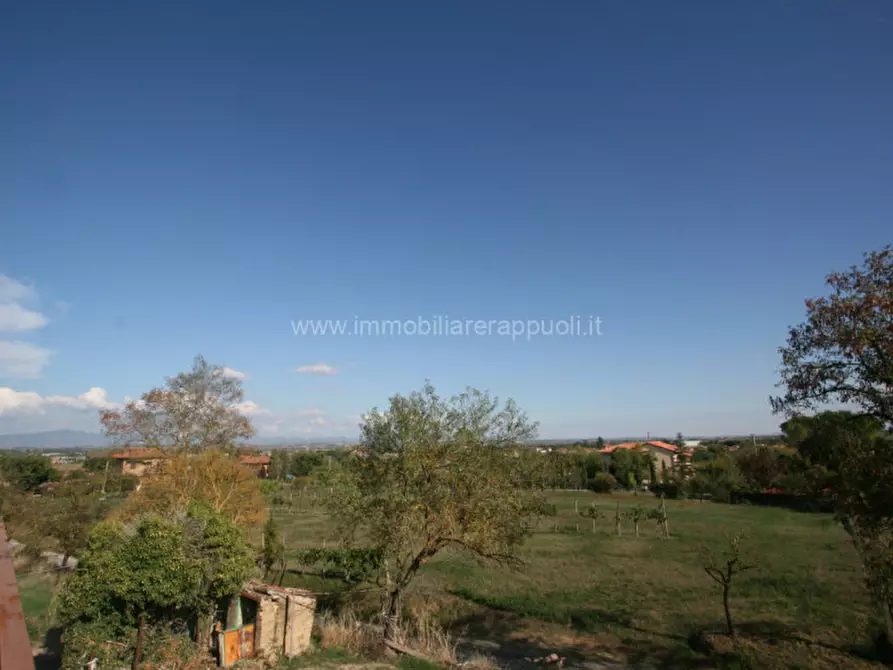 Immagine 9 di Casa indipendente in vendita  a Torrita Di Siena