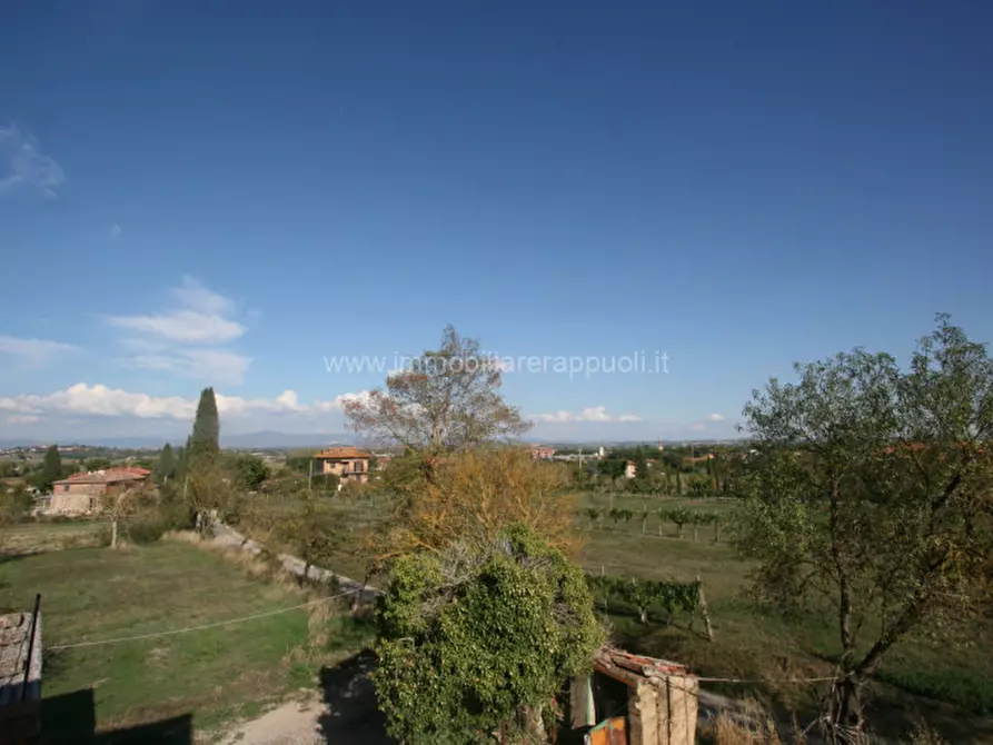 Immagine 11 di Casa indipendente in vendita  a Torrita Di Siena