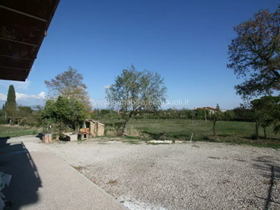 Immagine 15 di Casa indipendente in vendita  a Torrita Di Siena