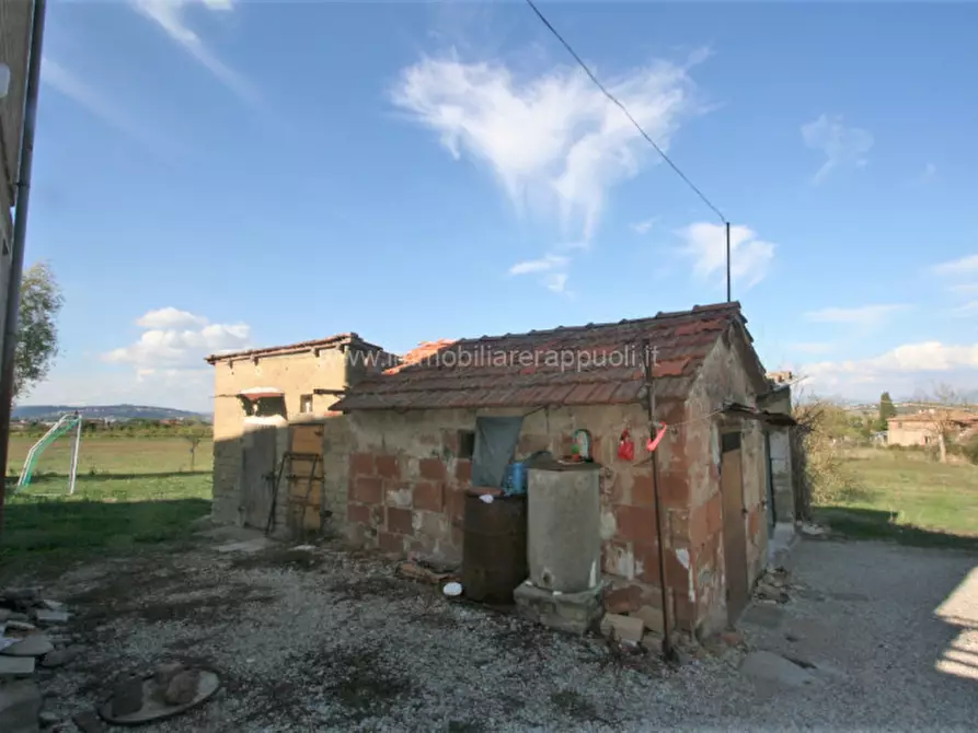 Immagine 16 di Casa indipendente in vendita  a Torrita Di Siena