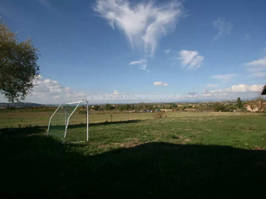 Immagine 17 di Casa indipendente in vendita  a Torrita Di Siena