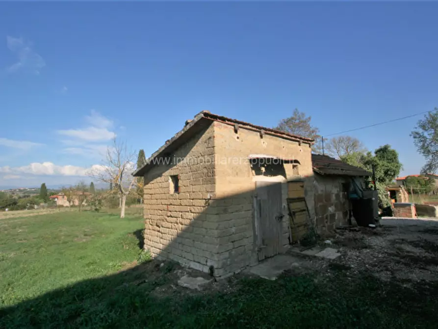 Immagine 18 di Casa indipendente in vendita  a Torrita Di Siena