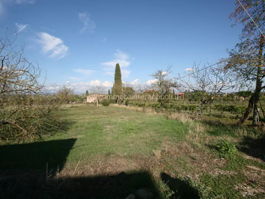 Immagine 20 di Casa indipendente in vendita  a Torrita Di Siena