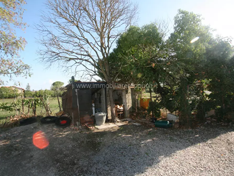 Immagine 21 di Casa indipendente in vendita  a Torrita Di Siena