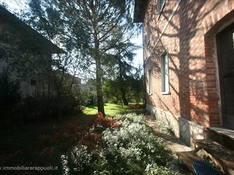 Immagine 3 di Casa indipendente in vendita  a Torrita Di Siena