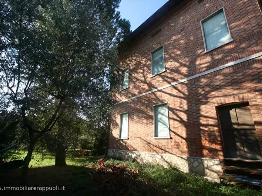 Immagine 4 di Casa indipendente in vendita  a Torrita Di Siena